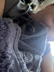 Reunited Female Dog last seen 54th Pl Bladensburg MD, Bladensburg, MD 20710