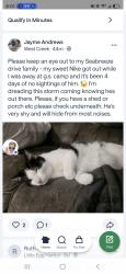 Reunited Male Cat last seen Trandwind drive little egg harbor , Little Egg Harbor Township, NJ 08087