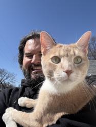 Lost Male Cat last seen Near 3rd ave , Minneapolis, MN 55409
