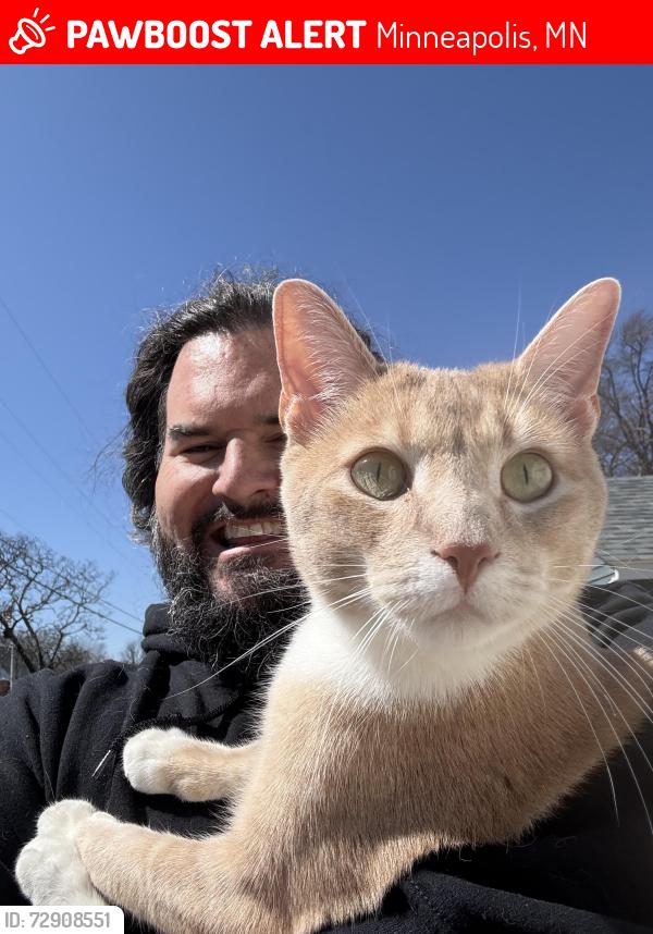 Lost Male Cat last seen Near 3rd ave , Minneapolis, MN 55409