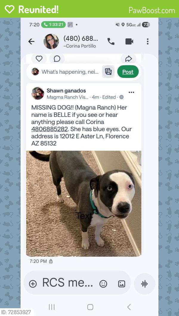 Reunited Female Dog last seen Cooper and Judd, Florence, AZ 85143