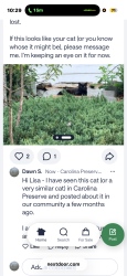 Found/Stray Unknown Cat last seen Near Amberly clbh , Cary, NC 27519