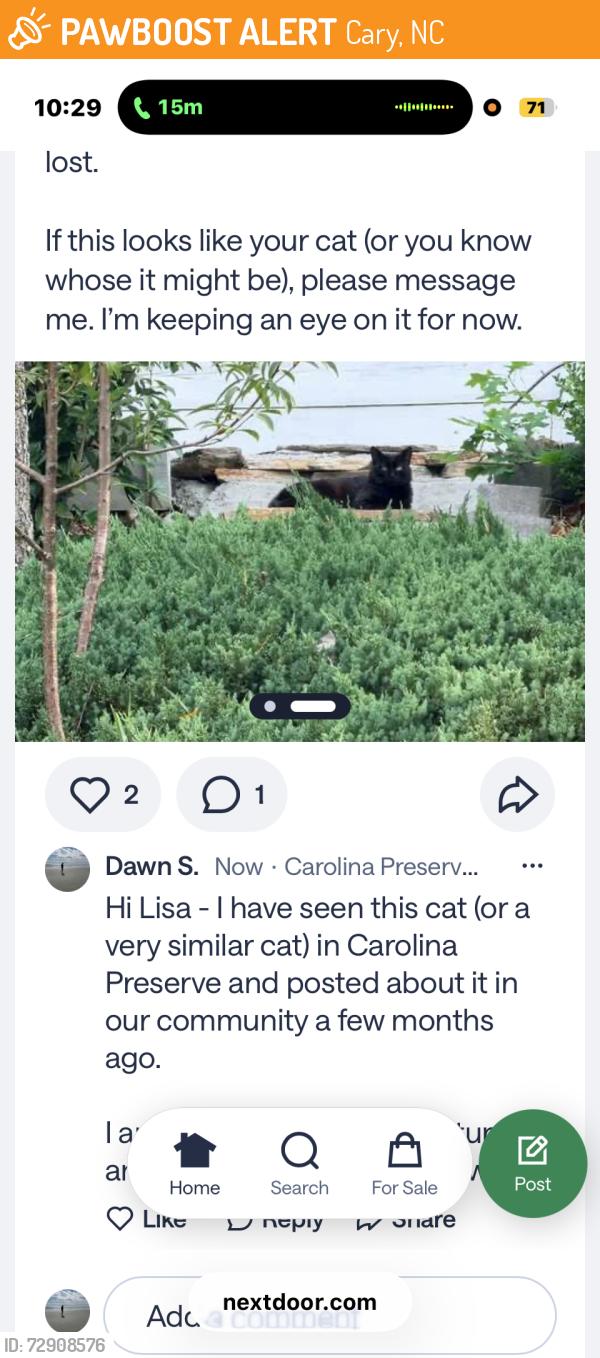 Found/Stray Unknown Cat last seen Near Amberly clbh , Cary, NC 27519
