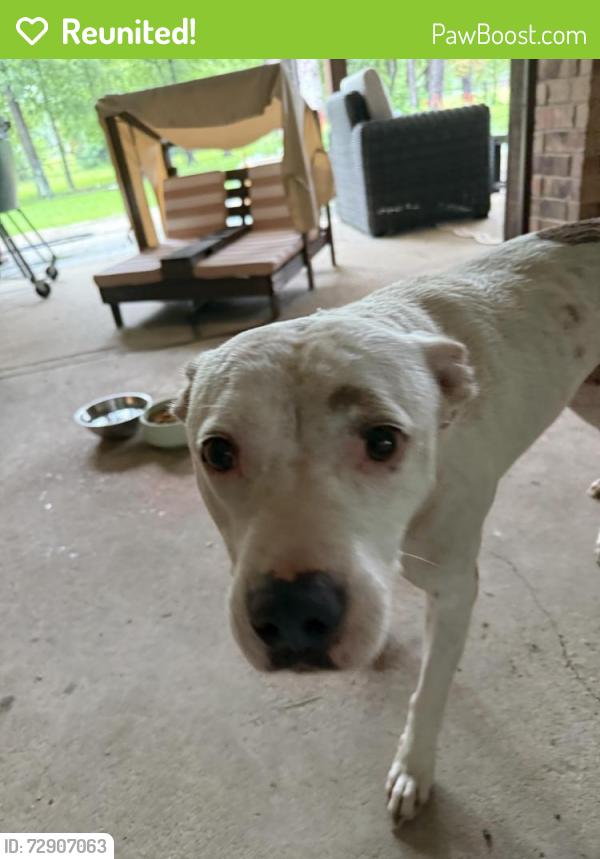 Reunited Unknown Dog last seen ests of Legends Ranch , Montgomery County, TX 77386