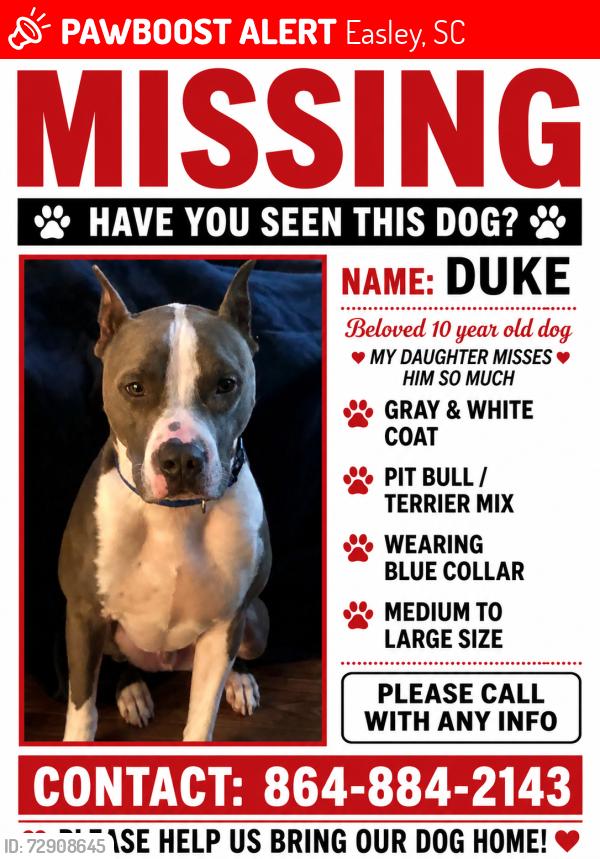 Lost Male Dog last seen Hotspot , Easley, SC 29640