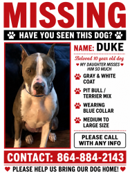 Lost Male Dog last seen Hotspot , Easley, SC 29640