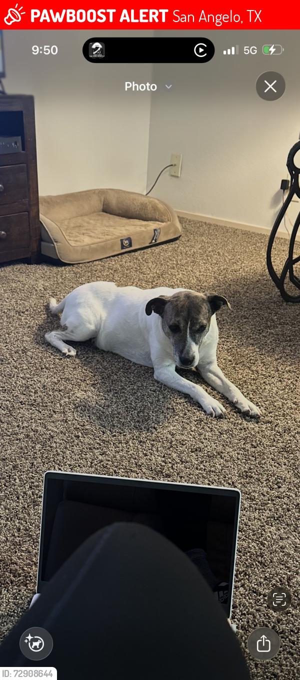 Lost Female Dog last seen Stripes on Howard, San Angelo, TX 76901
