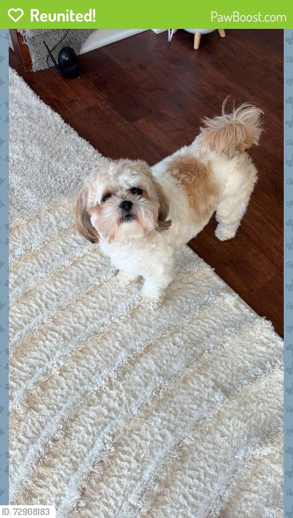 Reunited Female Dog last seen Lord William Penn Drive, Morristown, NJ 07960