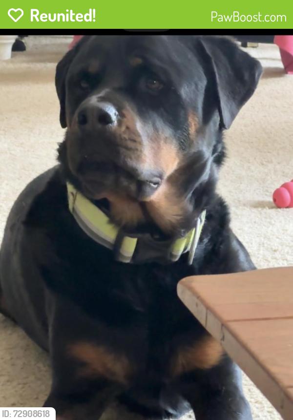 Reunited Male Dog last seen Near n 60th st, Kansas City, KS 66104