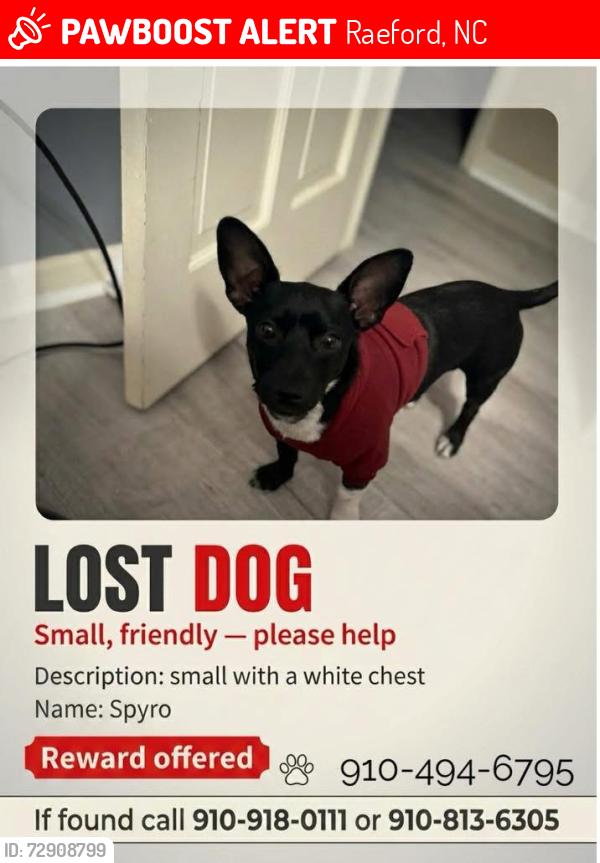 Lost Male Dog last seen Green St , Raeford, NC 28376
