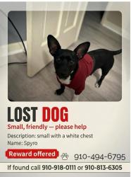 Lost Male Dog last seen Green St , Raeford, NC 28376