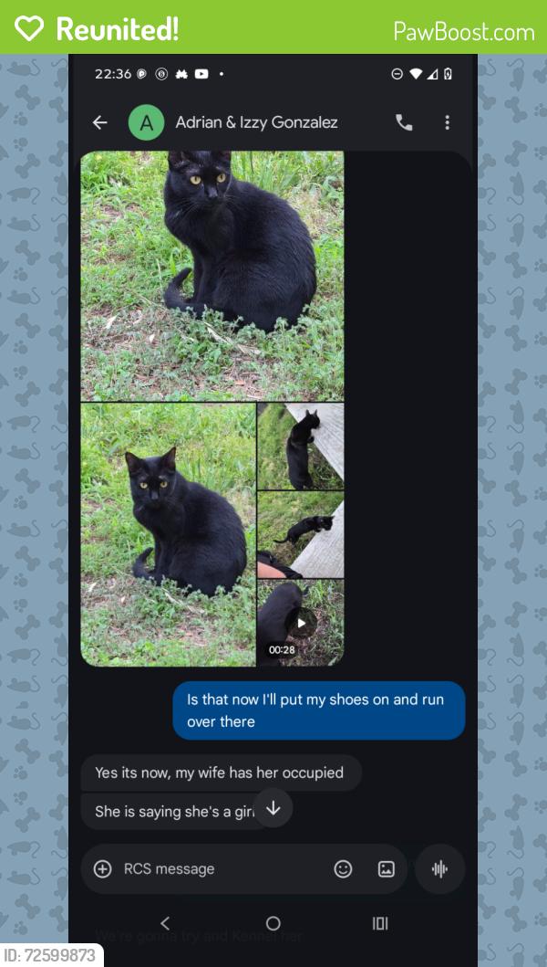 Reunited Female Cat last seen Near Estallo Way, Maxwell, TX 78656