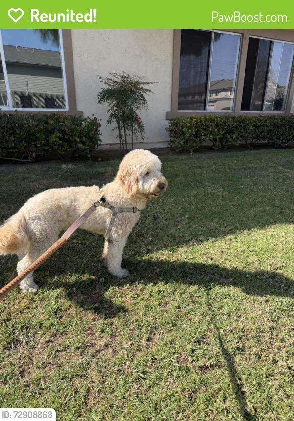 Reunited Unknown Dog last seen Bradford Pl, Santa Ana, CA 92707, USA, Santa Ana, CA 92707