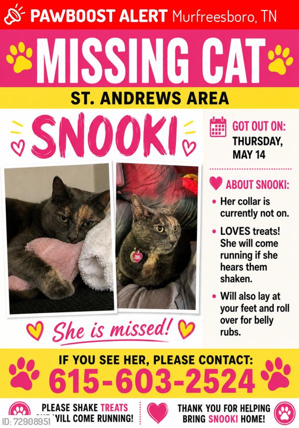 Lost Female Cat last seen By Salem Academy School, Murfreesboro, TN 37128