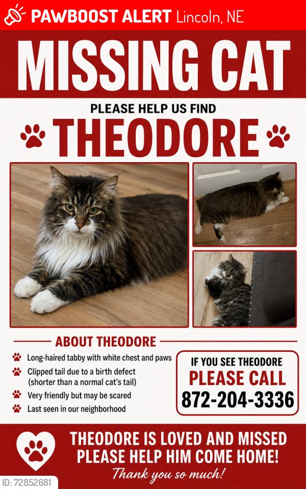 Lost Male Cat last seen I’m located in Chicago in Englewood , Chicago, IL 60621