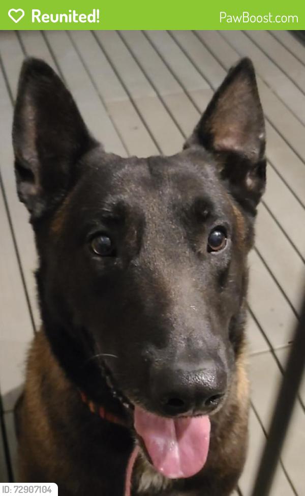Reunited Unknown Dog last seen Near Foltz St, Indianapolis, IN 46221, Indianapolis, IN 46221