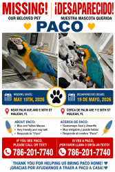 Lost Female Bird last seen palm avenue and E 56 st, Hialeah, FL 33012