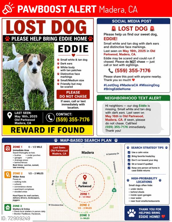 Lost Male Dog last seen Old Parkwood, Madera, CA 93637