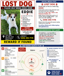 Lost Male Dog last seen Old Parkwood, Madera, CA 93637
