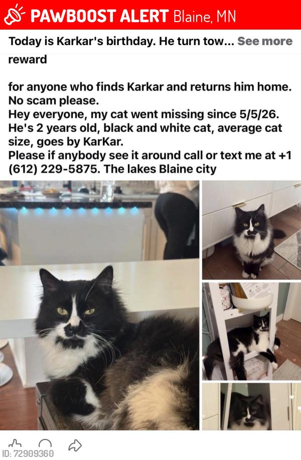 Lost Male Cat last seen Vermilion st, Blaine, MN 55449