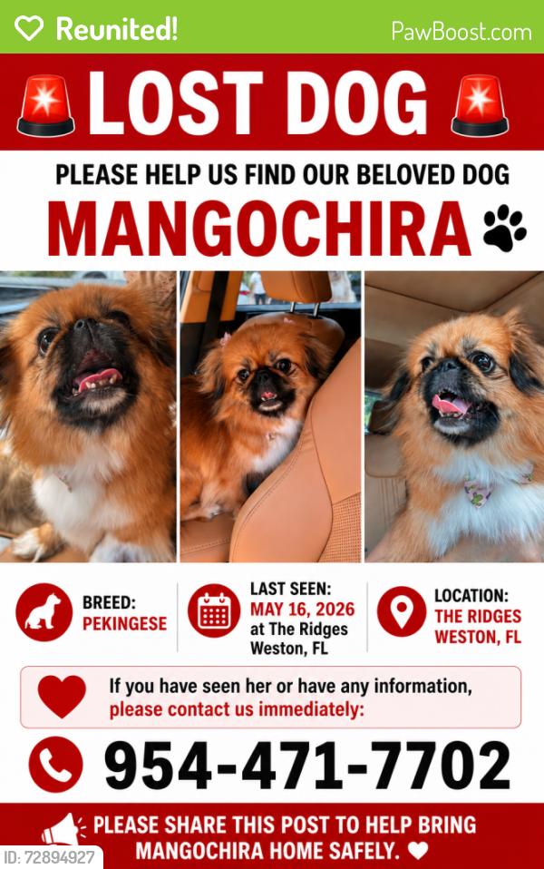 Reunited Female Dog last seen The Ridges; Falcon Ridge and Heron, Fort Lauderdale, FL 33331