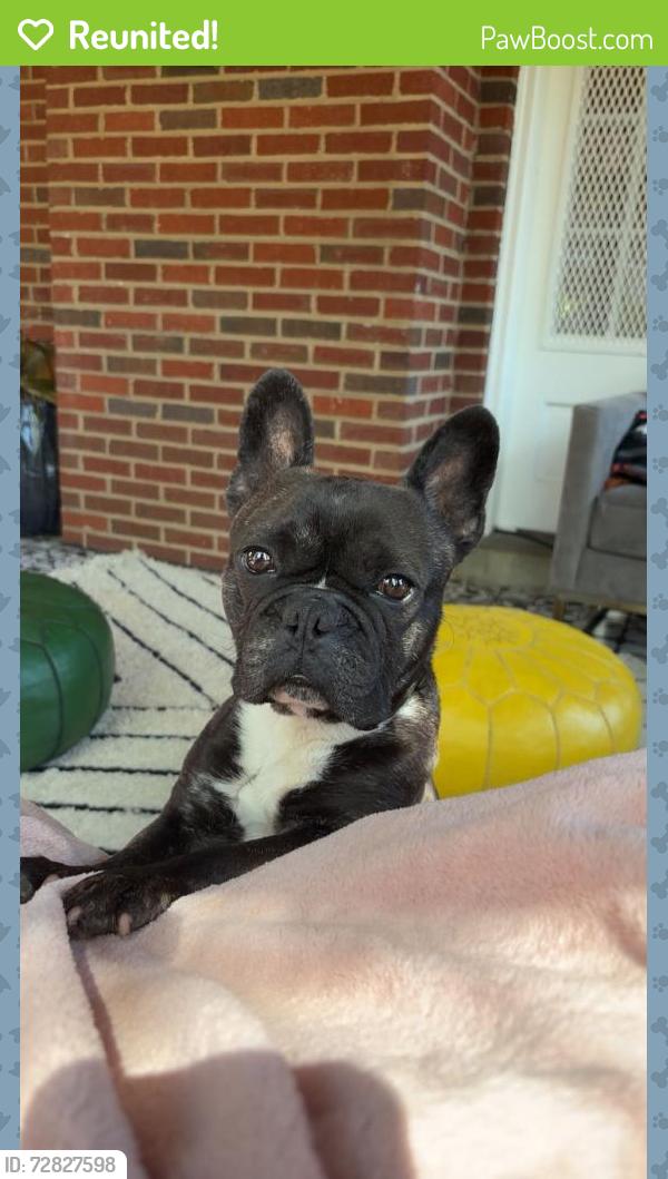 Reunited Male Dog last seen 34th st, Washington, DC 20020