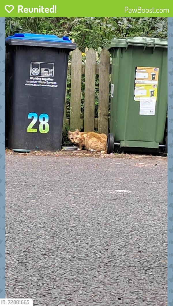 Reunited Unknown Cat last seen Heathcote , Heathcote, England CV34 6GE
