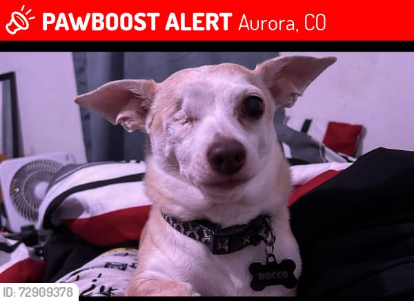 Lost Male Dog last seen Xanadu and ilief, Aurora, CO 80014