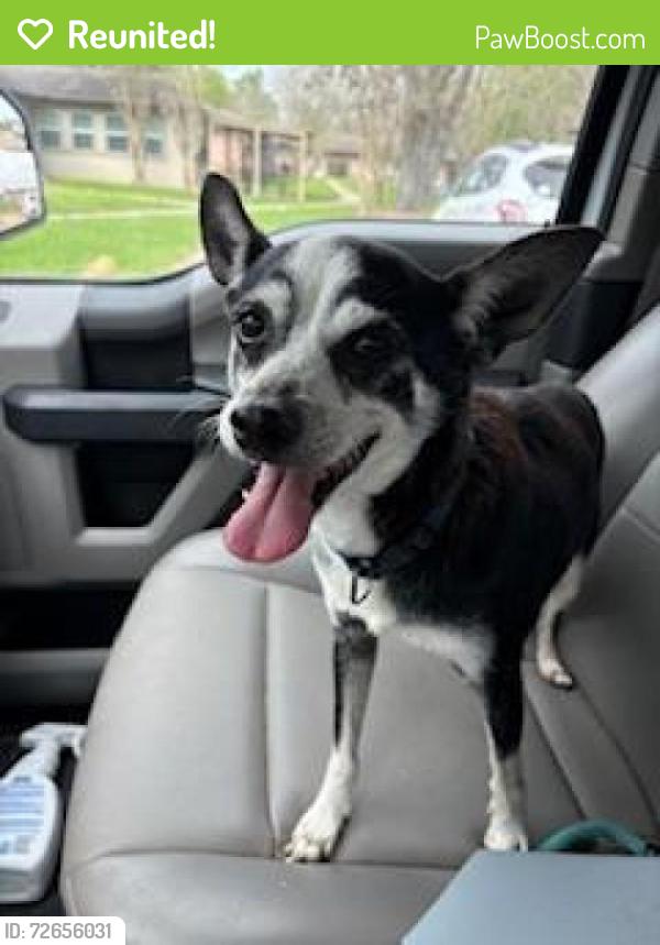 Reunited Male Dog last seen Near east Jefferson St, West Columbia, TX 77486