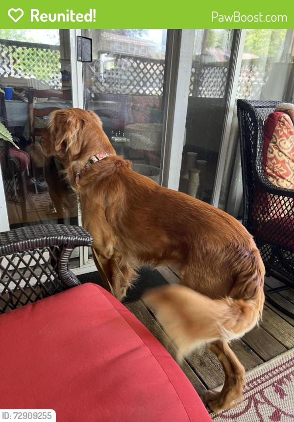 Reunited Unknown Dog last seen Commercial and Bennett St Appleton , Appleton, WI 54914