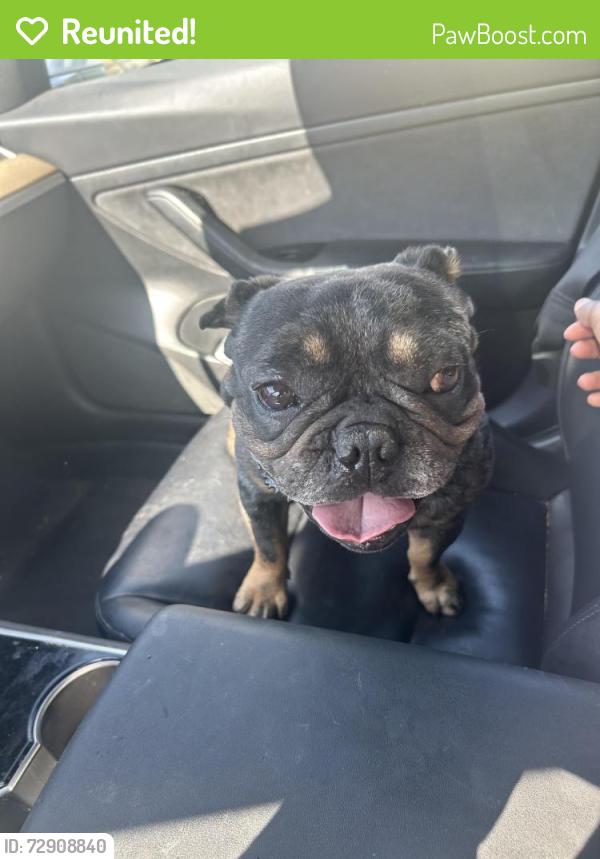 Reunited Male Dog last seen Old Evans and Evans Rd., Perris, CA 92571