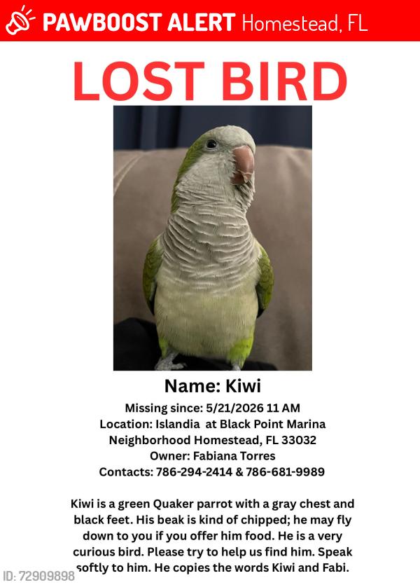 Lost Unknown Bird last seen Islandia at Black Point Marina Neighborhood , Homestead, FL 33032