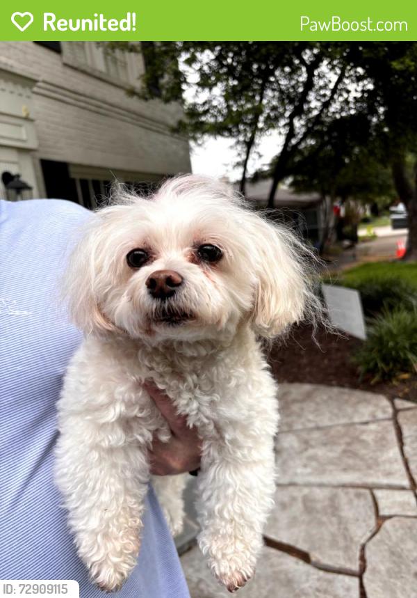 Reunited Female Dog last seen Hillcrest and Southwestern, Dallas, TX 75225
