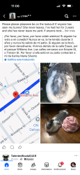 Lost Female Rabbit last seen Williams av Lynn ma 01902, Lynn, MA 01902