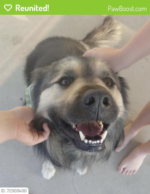 Reunited Unknown Dog last seen Ontario and Silver Oak Drive, Corona, CA 92882