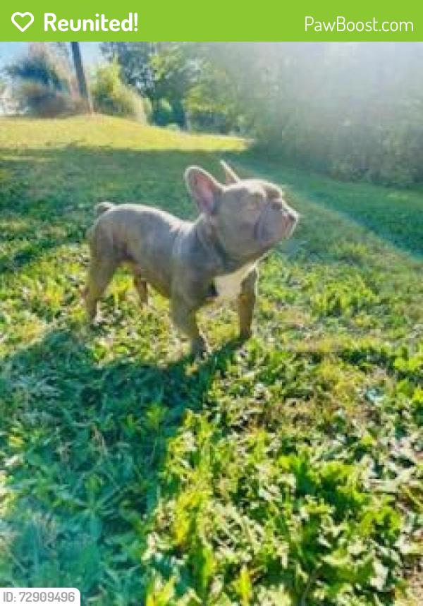 Reunited Male Dog last seen Near McEver Park Circle, Acworth, GA 30101