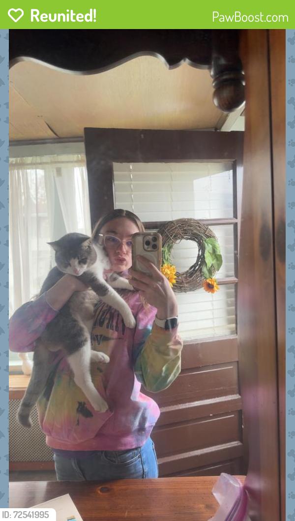 Reunited Male Cat last seen Golden Dawn, New Kensington, PA 15068