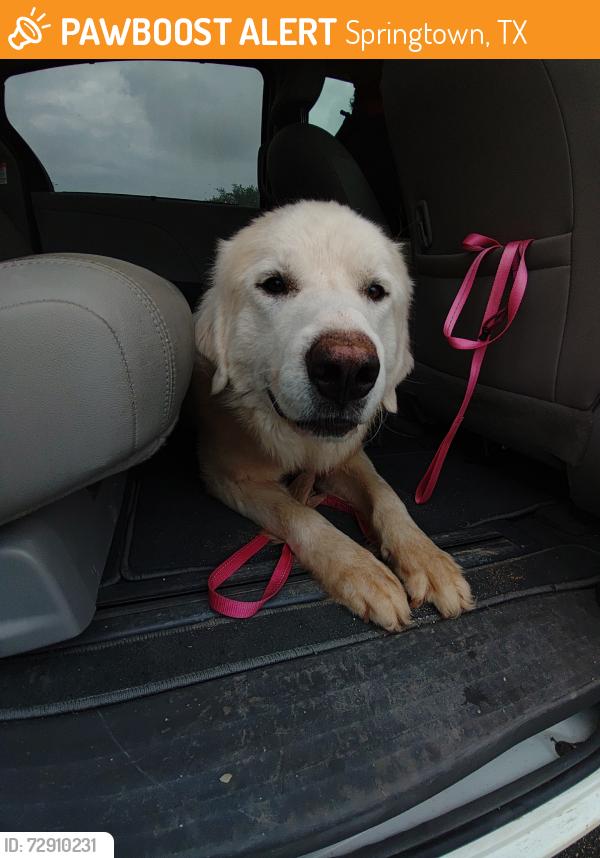 Found/Stray Male Dog last seen Gillilard, Parker County, TX 76082