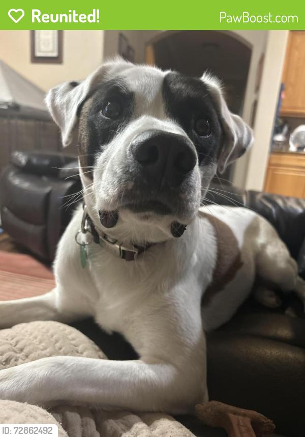 Reunited Male Dog last seen Dog Days Inn, Atascocita, TX 77346
