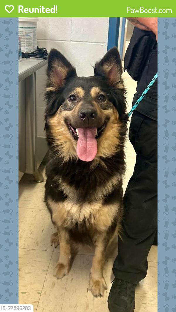 Reunited Female Dog last seen Randolph and Bay, Saint Paul, MN 55102