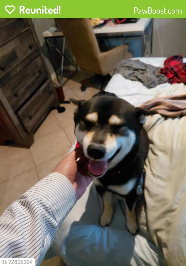 Reunited Male Dog last seen Kroger, Channelview, TX 77530