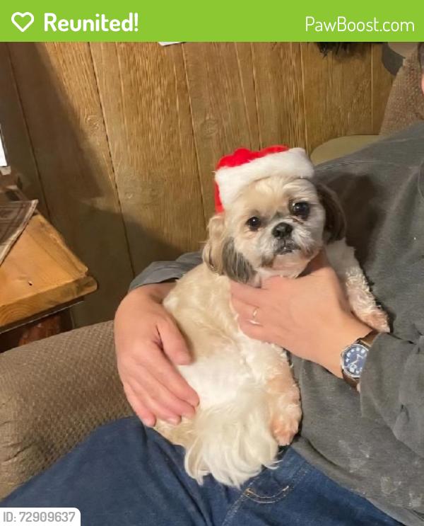 Reunited Female Dog last seen Cedar Wood ests is near by, Bay County, FL 32404