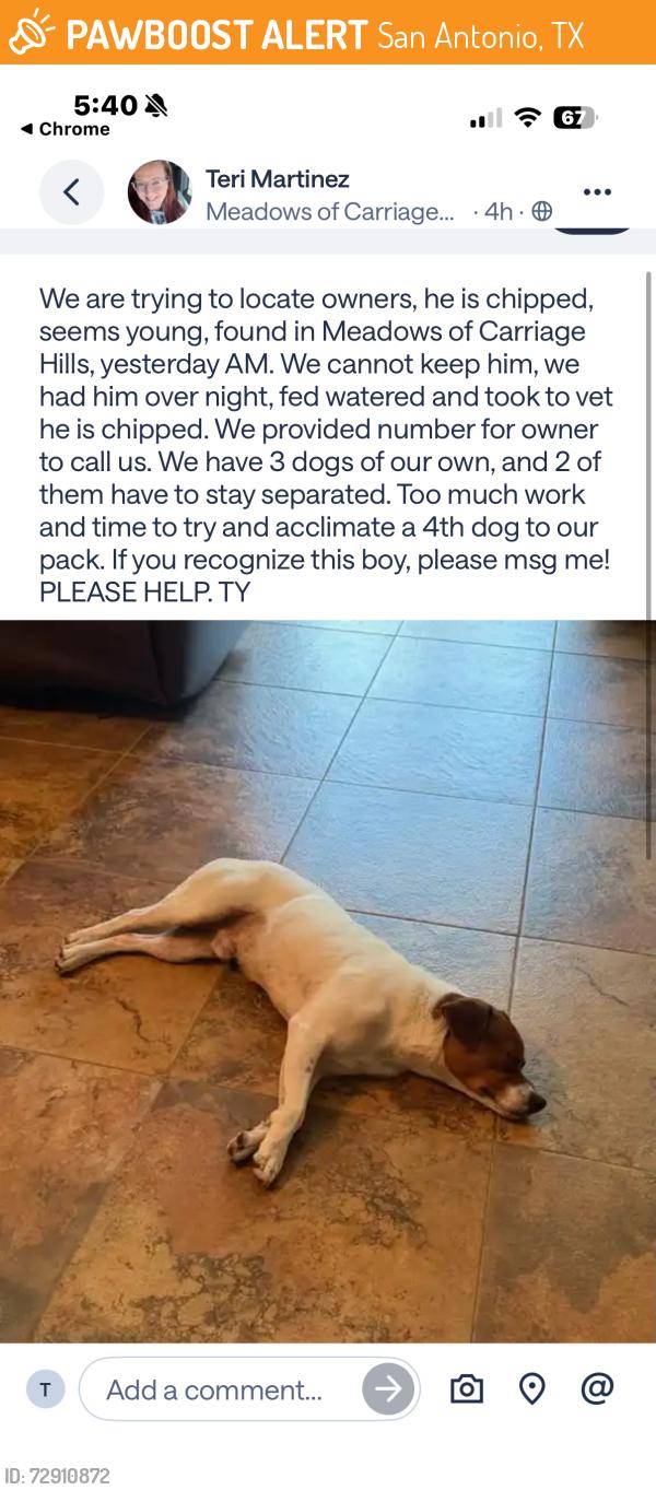 Found/Stray Male Dog last seen The Meadows of Carriage Fern, San Antonio, TX 78249