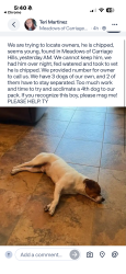 Found/Stray Male Dog last seen The Meadows of Carriage Fern, San Antonio, TX 78249