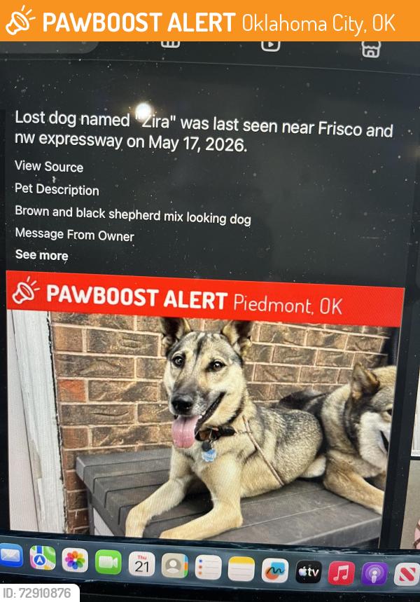 Found/Stray Unknown Dog last seen Memorial and Cemetery Rd., Oklahoma City, Oklahoma City, OK 73099