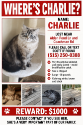 Reunited Female Cat last seen Coachman Rd., Eagan, MN 55121