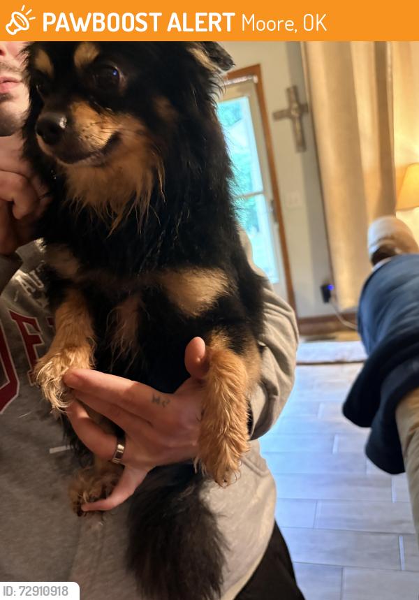 Found/Stray Male Dog last seen Bryant and Main St , Moore, OK 73160