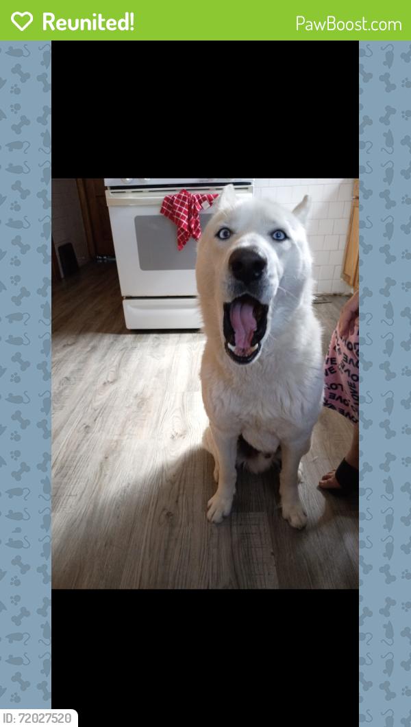 Reunited Male Dog last seen Marquette Park , Chicago, IL 60629
