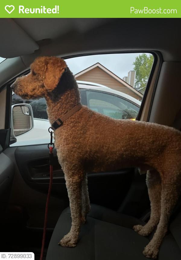 Reunited Male Dog last seen Sandcreek park in coon rapids mn , Minneapolis, MN 55448