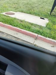 Found/Stray Unknown Cat last seen S Fulton and E Gedsdes Ave, Centennial, CO 80112